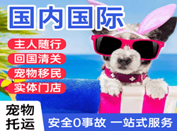 厦门空运国际宠物托运 【国